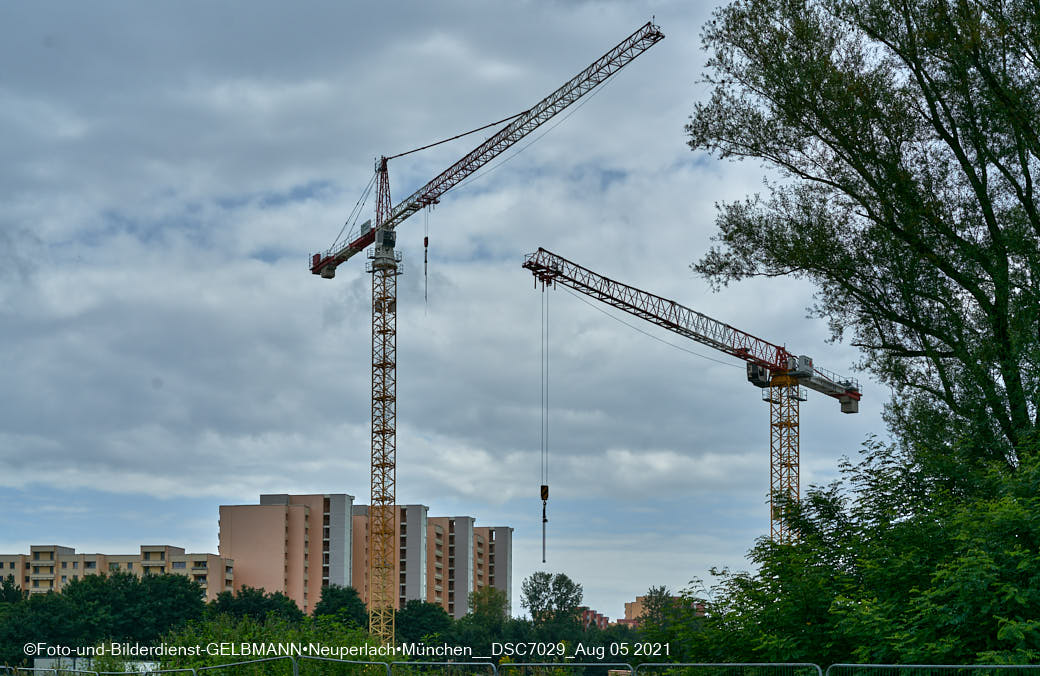 05.08.2021 - Pandion Verde in Neuperlach am Truderinhger Wald